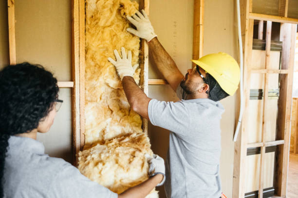 Best Fireproof Insulation  in Dimmitt, TX